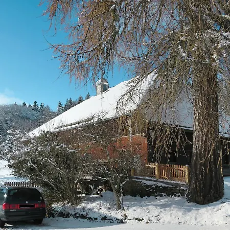 Ferienhaus 170w Hinterzarten